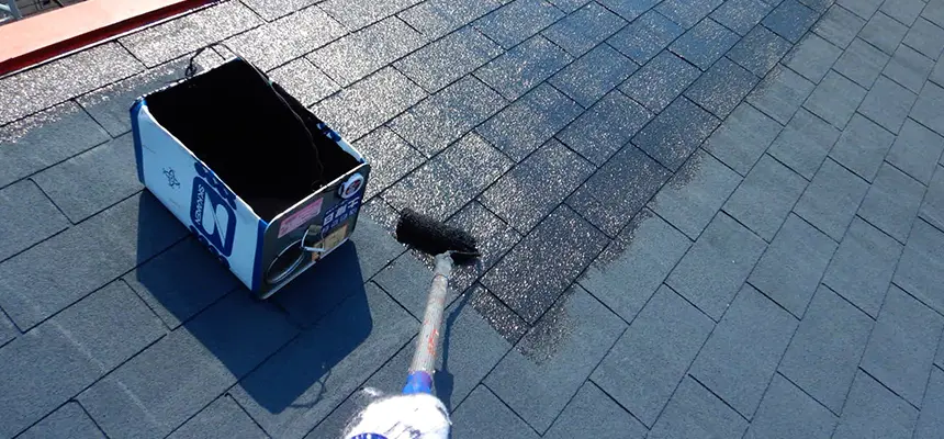 屋根の事例一覧