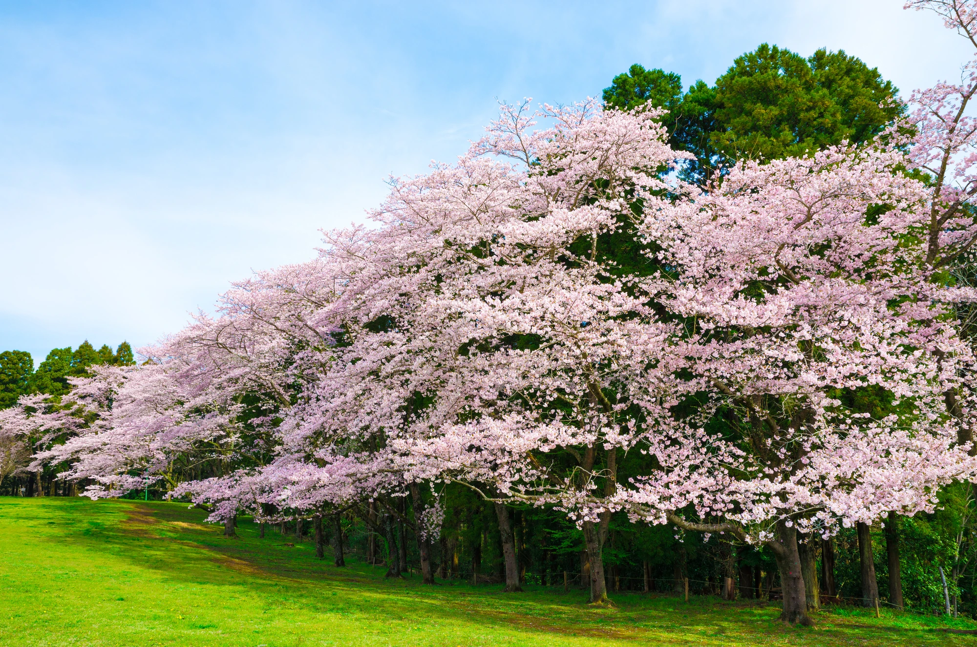 口コミで選ぶ!若葉区で評判のおすすめ人気リフォーム会社4選